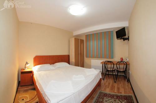 Pensiunea Ivu Si Raul Giroc Room photo