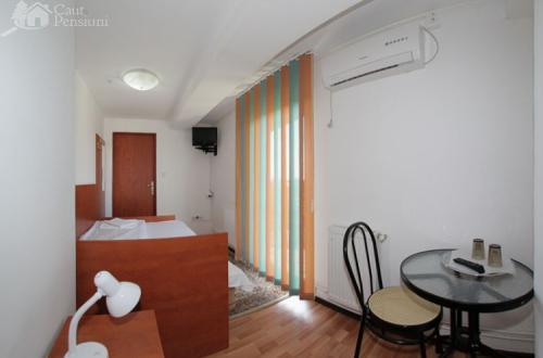 Pensiunea Ivu Si Raul Giroc Room photo