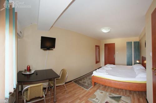 Pensiunea Ivu Si Raul Giroc Room photo
